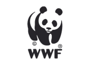 WWf